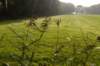 maarn_doorn_025_small.jpg