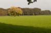 maarn_doorn_026_small.jpg