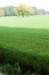 maarn_doorn_027_small.jpg