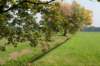 maarn_doorn_028_small.jpg