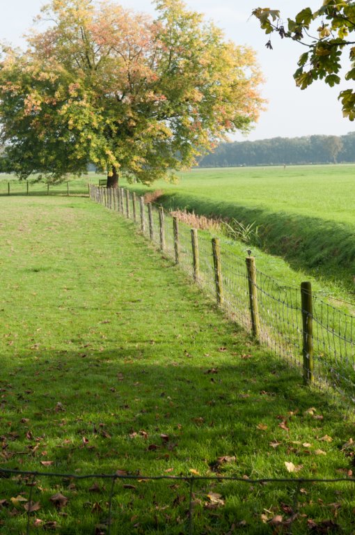 maarn_doorn_029.jpg