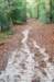 maarn_doorn_030_small.jpg