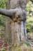 maarn_doorn_031_small.jpg