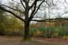 deheuvelrug_005_small.jpg