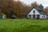 deheuvelrug_006_small.jpg