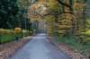 deheuvelrug_010_small.jpg