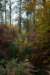 deheuvelrug_016_small.jpg