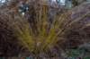 deheuvelrug_018_small.jpg