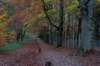 deheuvelrug_019_small.jpg