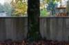 deheuvelrug_021_small.jpg