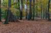 deheuvelrug_025_small.jpg