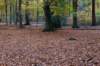 deheuvelrug_026_small.jpg