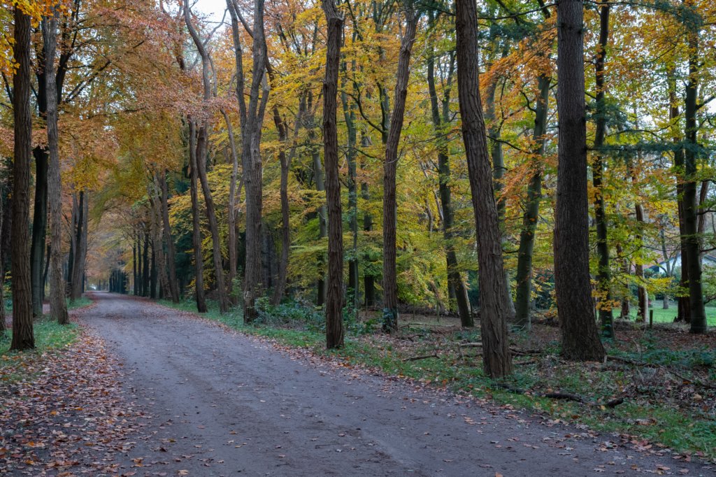 deheuvelrug_027.jpg