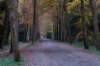 deheuvelrug_028_small.jpg