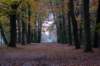 deheuvelrug_029_small.jpg