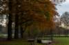 deheuvelrug_030_small.jpg