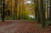 deheuvelrug_032_small.jpg