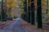 deheuvelrug_035_small.jpg