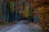 deheuvelrug_039_small.jpg