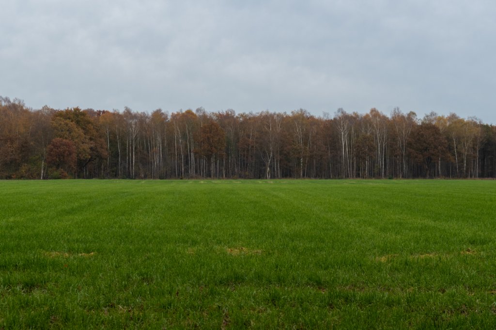 deheuvelrug_044.jpg