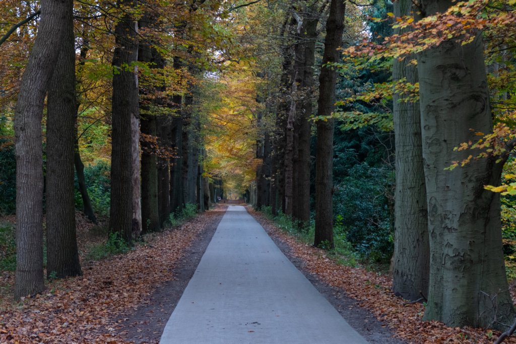 deheuvelrug_045.jpg