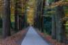 deheuvelrug_045_small.jpg