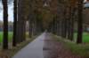 deheuvelrug_046_small.jpg