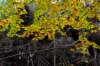 deheuvelrug_049_small.jpg