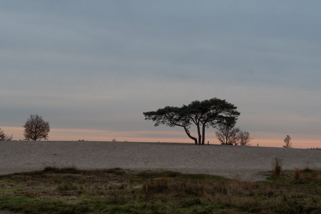 deheuvelrug_058.jpg