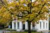 zwolle_031_small.jpg