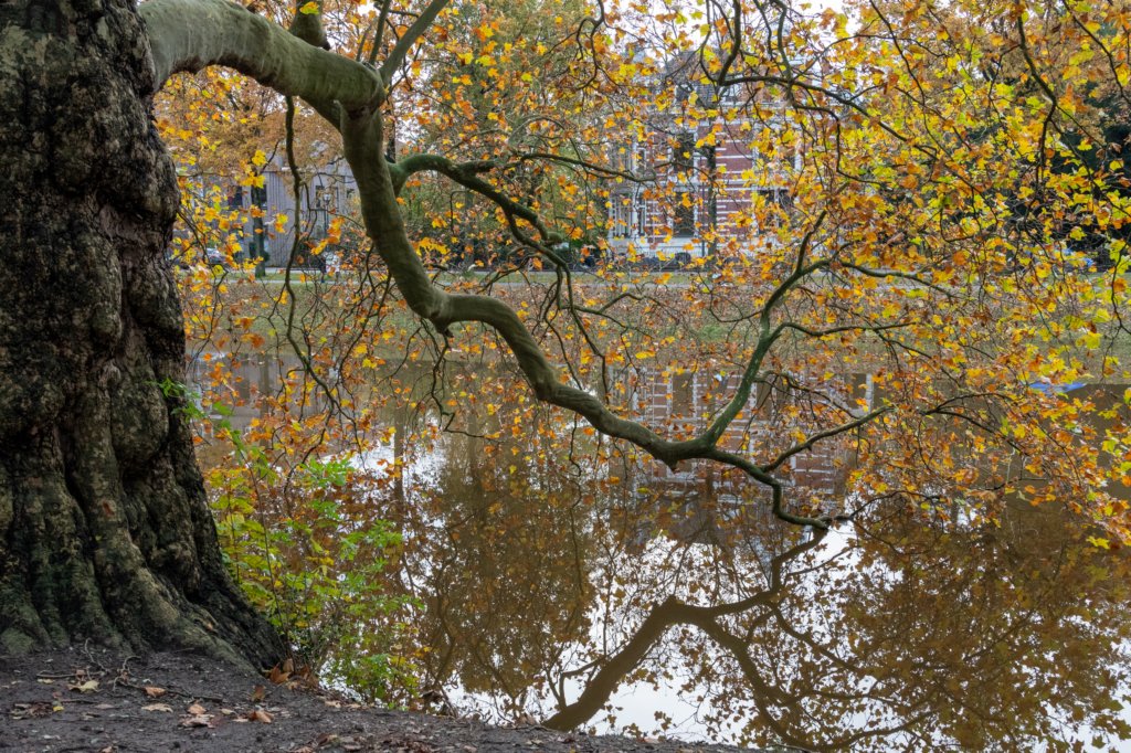 zwolle_034.jpg