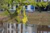 zwolle_037_small.jpg