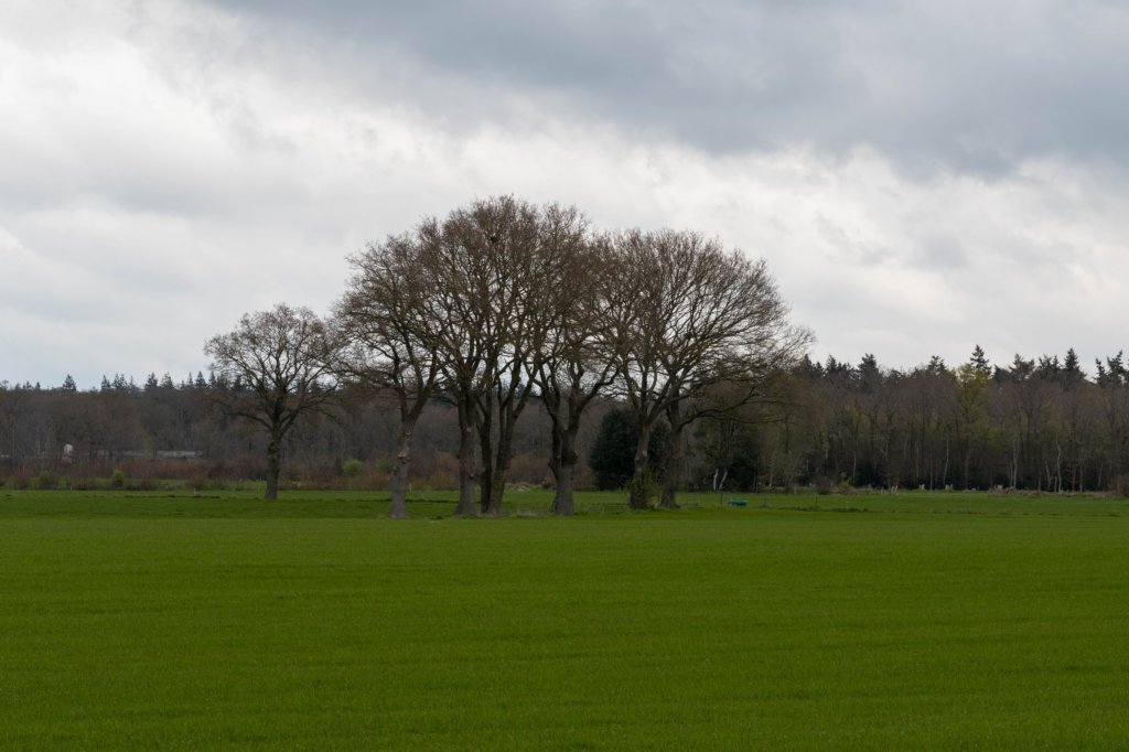 steenwijk_005.jpg