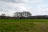 steenwijk_006_small.jpg