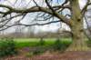 steenwijk_018_small.jpg