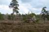 steenwijk_026_small.jpg