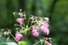 geldrop_006_small.jpg
