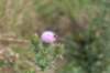 geldrop_024_small.jpg