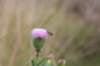 geldrop_025_small.jpg