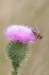 geldrop_026_small.jpg
