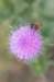 geldrop_027_small.jpg