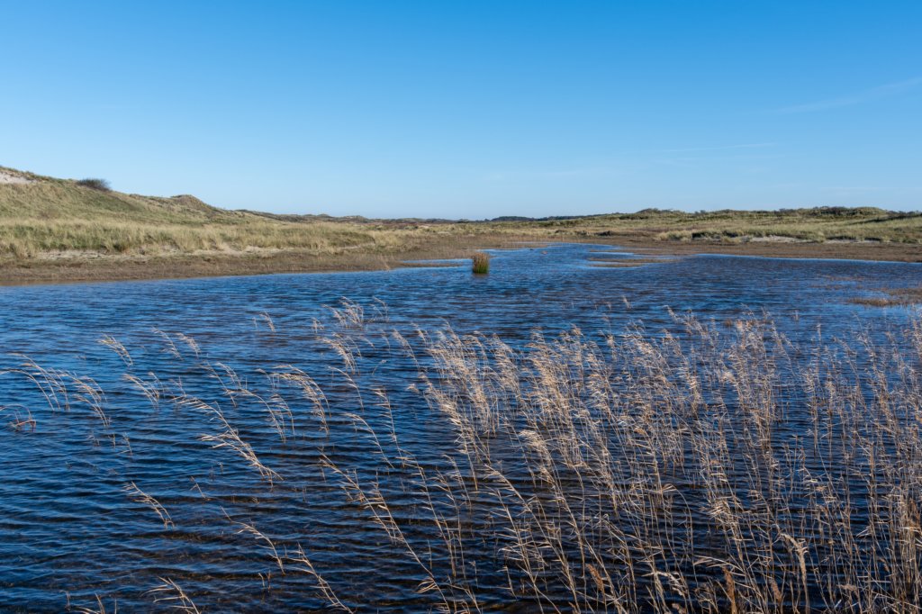 terschelling2022_006.jpg