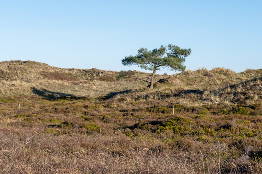 terschelling2022_008.jpg