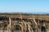 terschelling2022_010_small.jpg