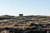 terschelling2022_011_small.jpg