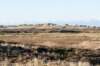 terschelling2022_012_small.jpg