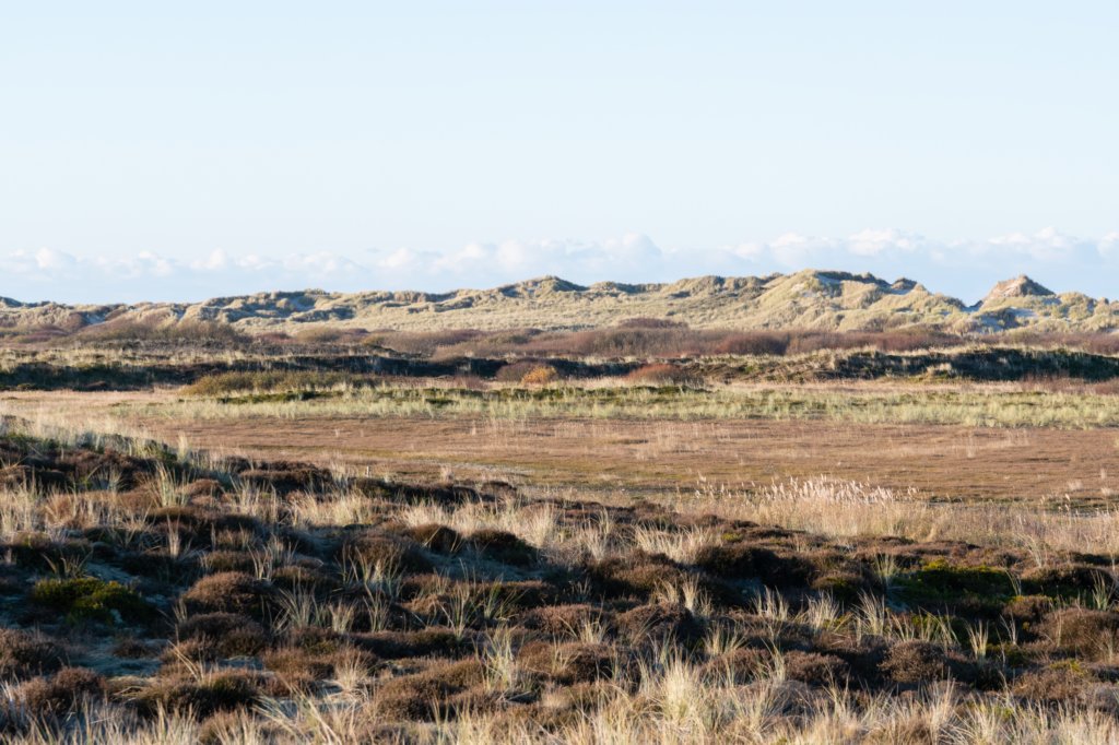 terschelling2022_013.jpg