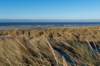terschelling2022_015_small.jpg