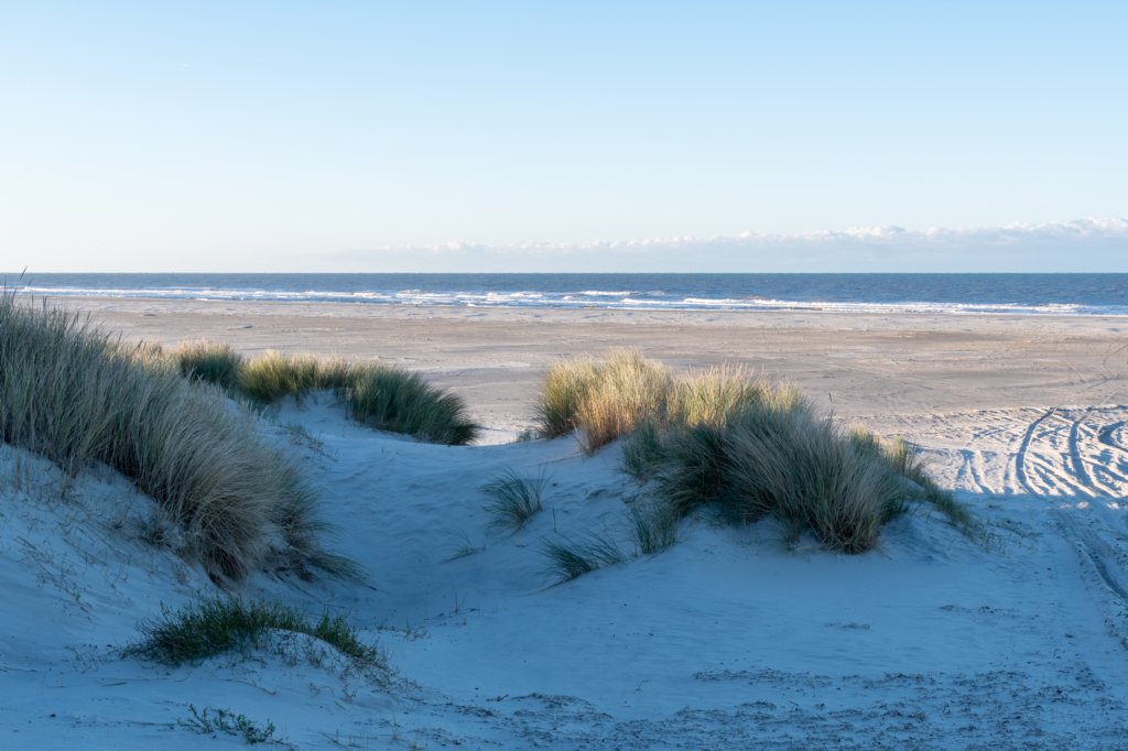 terschelling2022_019.jpg