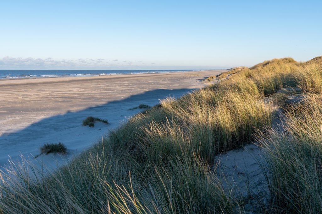terschelling2022_025.jpg